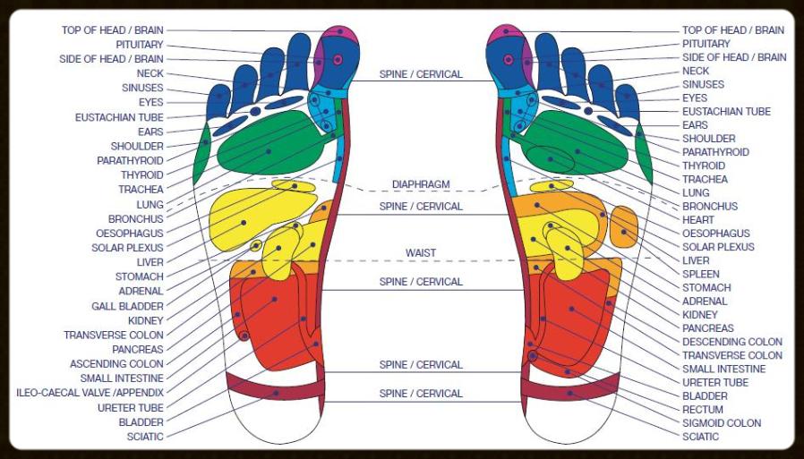 Knead a Back Foot Reflexology 